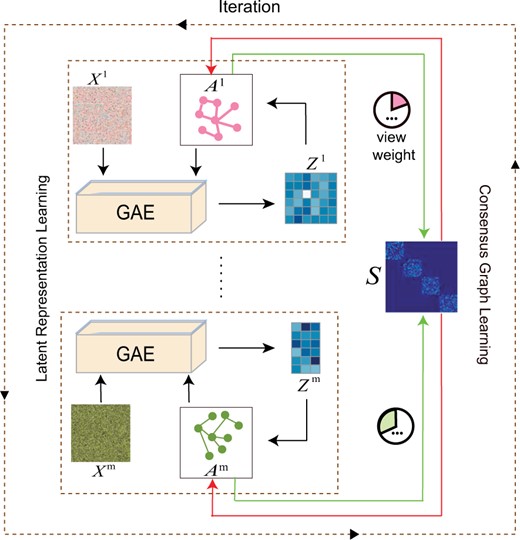 An overall workflow of the proposed method. It iterates between two parts, i.e. latent representation learning and consensus graph learning, until convergence
