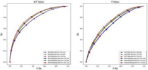 ROC curves of PhosIDNSeq for different window sizes on S/T and Y sites