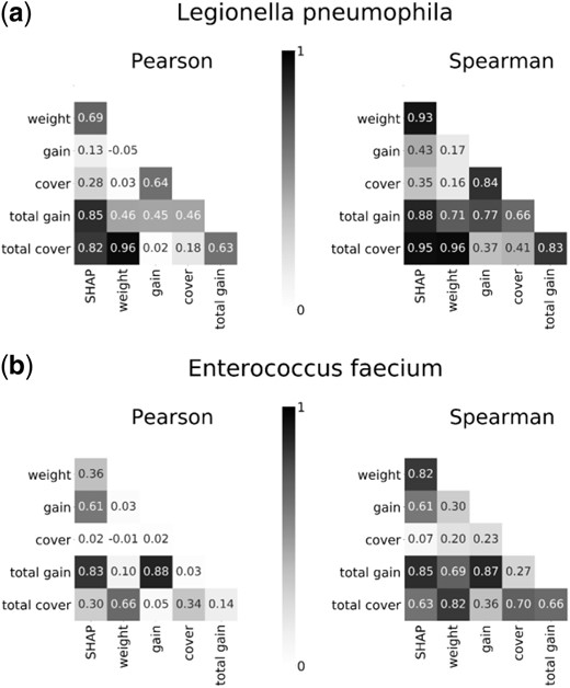Pearson’s and Spearman’s correlations between gene importance values computed by six different measures for (a) L.pneumophila and (b) E.faecium. The measures that were used for gene importance quantification are the mean magnitude of the SHAP values, weight, average gain, average cover, total gain and total cover