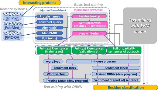 Flowchart of the text-mining system. Algorithm of the TM with the SVM model is the same as in (Badal et al., 2018) and thus is not shown in detail. Both full text sets are unified in one training set (shown by the dashed line) when the trained NN is tested on the PubMed abstracts