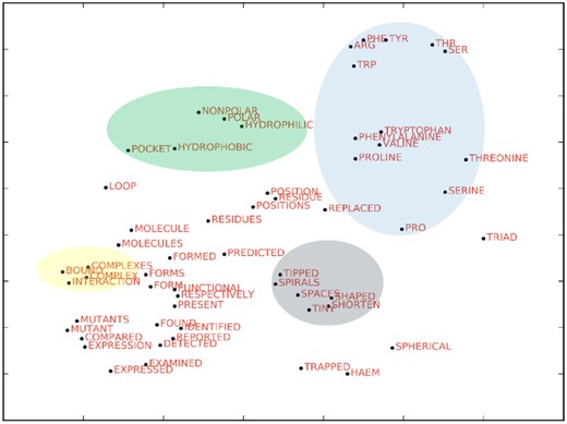 Example of the initial word vectors distribution. Highlighted areas show similar words in the same region of the vector space. The distribution was generated by arbitrarily choosing a set of 55 words that are typically found in PPI publications, not meeting any scientific criteria, but representing a rich mix of domain vocabulary. The words were put in a list, along with the file containing word-vector lookup table (output of word2vec). The t-SNE software (van der Maaten and Hinton, 2008) extracted relevant 55 word-vectors and performed dimensionality reduction, until the required criteria of given perplexity (40) is met and the final dimensionality is reduced to 2. The points were plotted and labelled using pyplot in a python script. The highlighted areas were overlaid on the graph