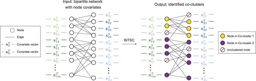 Diagram illustrating the input and output of BiTSC. The identified tight node co-clusters satisfy that, within any co-cluster, nodes on the same side share similar covariates, and nodes from different sides are densely connected. In the context of gene co-clustering, within any co-cluster, genes from the same species share similar gene expression levels across multiple conditions, and genes from different species are rich in orthologs