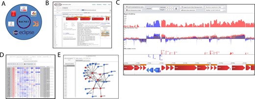 Overview of Bacnet platform. (A) Bacnet dependencies. (B) Gene panel. (C) Visualization of RNASeq, transcription start site and transcription termination site datasets. (D) Heatmap of expression atlas. (E) Co-expression network tool