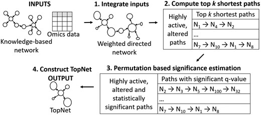 PathExt overview. PathExt uses a knowledge-based directed network and omics data as inputs, and outputs a sub-network consisting of context-relevant genes and processes, referred to as the TopNet. 1. Integrate inputs: PathExt integrates the inputs by weighting the nodes and edges of the knowledge-based network as a function of the abundance of the biomolecules. Node weight is one of SI × FC, FC or SI, where SI is signal intensity (e.g. gene expression) and FC is the fold change in abundance. Edge weight(i,j)=1Ni×Nj, giving an edge between highly abundant or altered molecules a low weight. Thus, a low-weight path will traverse highly active or altered reactions. 2. Compute top k shortest paths: Shortest paths are computed between all pairs of nodes in the weighted network, of which the top k paths with least weight, corresponding to highly active and altered paths, are used for further analyses. 3. Permutation based significance estimation: The rows of the input omics matrix are shuffled independently to create r random weighted networks, and estimate statistical significance of the top k shortest paths. 4. Construct TopNet: Among the top k paths, the multiple testing corrected significant paths constitute a sub-network, called the TopNet