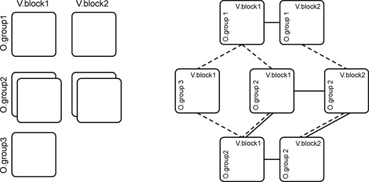 Complex data structure. Each square corresponds to a data matrix of given observations and variables. Left: dataset with two variables blocks and three observations groups, a missing block (O.group3 × V.block2) and an additional repeated measure of O.group2 for both V.block1 and V.block2. Right: corresponding network structure highlighting the links of shared loadings between variables (dotted lines) and observations (solid lines). Note that the sharing is transitive and that this structure cannot be correctly flattened into a concatenated matrix