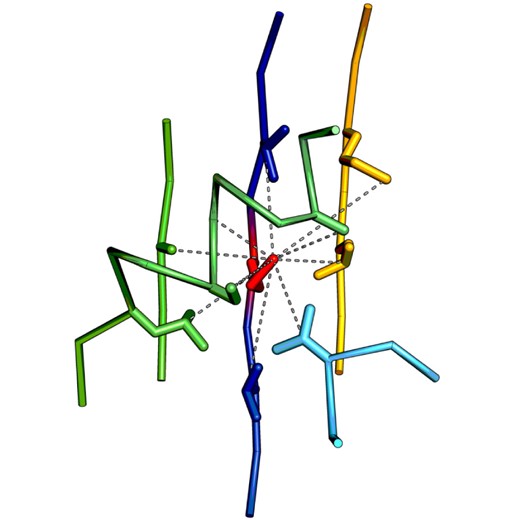 An exemplary descriptor built around the residue MET70 of 1lg7A contains nine contacts (dashed lines) between its central amino acid (red) and residues forming the centers of its elements. Some of the elements overlap forming longer segments [in particular fragments of two β-strands (blue and yellow) and a fragment of an α-helix (green)]. Altogether, this descriptor consists of five continuous segments