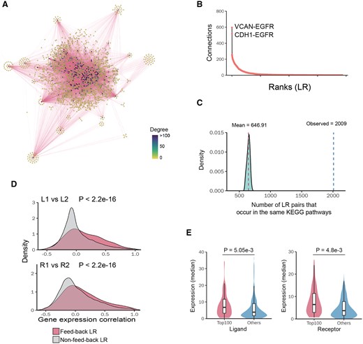 Properties of identified LRLoop. (A) Networks of feedback ligand–receptor pairs. Each node represents a ligand–receptor pair. Two nodes are connected if they form a feedback loop. (B) Ranked ligand–receptor pairs based on their connection degree in the feedback network (high to low). X-axis indicates their ranks. Y-axis indicates their number of connections. (C) Number of the feedback loops whose four members (L1, R1, L2 and R2) are in the same KEGG pathways. The distribution shows the same numbers if we randomly select two ligand–receptor pairs. (D) The Pearson correlation coefficients of connected L1–L2/R1–R2 are significantly higher than un-connected L1–L2/R1–R2. P-values were calculated using KS-test. (E) The median expression level of hub ligands/receptors is significantly higher than lowly connected ligands/receptors. P-values were calculated using t-test
