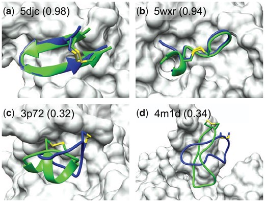 Comparison between the crystal structure (green) and predicted peptide binding modes by HPEPDOCK2.0 (blue) for two successful and two failed examples when the top 10 predictions were considered on the TS18 test set. The protein is represented by molecular surface (grey) and the fraction of native contacts reproduced by the docked pose is listed in the parentheses (A color version of this figure appears in the online version of this article.)