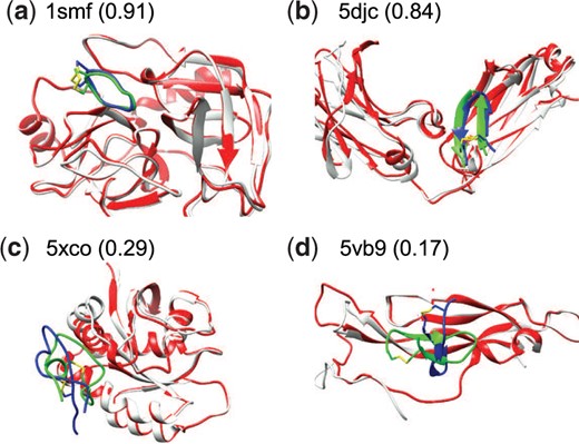 Comparison between the crystal structure (green) and predicted peptide binding modes by HPEPDOCK2.0 (blue) for two successful and two failed examples when the top 10 predictions were considered on the test set of TS11_AF2. The predicted protein model by AF2 (red) is superimposed onto the experimental bound structure (grey). The fraction of native contacts reproduced by the docked pose is listed in the parentheses (A color version of this figure appears in the online version of this article.)