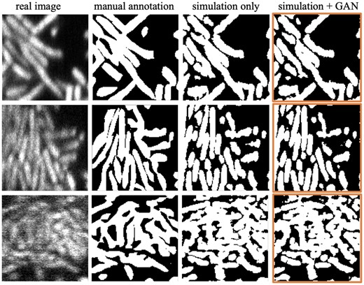 Qualitative comparison of semantic segmentation results using 3D u-net. The images correspond to one slice in the 3D volume. The last column is the segmentation outputs using a combined training dataset involving 3D cyclic GAN (ℓ21) outputs