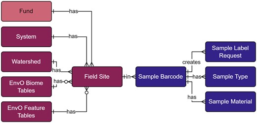 Field site and sample label modules within the metadata schema. Full schema available in Supplementary Figure S1. Sample label references the field site module through the field site table. The field site table contains all unique site IDs, where system, watershed, and EnvO tables are referenced to generate the human-readable identifier. The sample barcode table contains all unique sample labels and are generated through Celery tasks and the sample label request table. Sample type and material tables are referenced to generate the human-readable sample labels. Full descriptions of fields for the Field Site and Sample Label modules are available in Supplementary Table S2