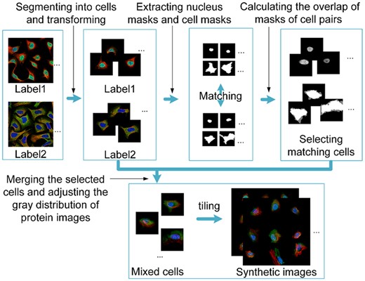 Flowchart of generating images of mixed patterns