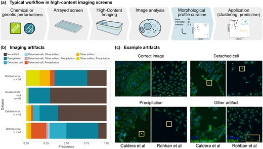 HCS experiments require adequate analysis tools. (a) Standard analysis workflow of HCS experiments. (b) Quantification of imaging artifacts that may lead to biases in HCS analyses in sample images from four published studies (Breinig et al., 2015; Caldera et al., 2019; Gustafsdottir et al., 2013; Rohban et al., 2017). (c) Examples of such imaging artifacts. Boxes highlight regions of interest