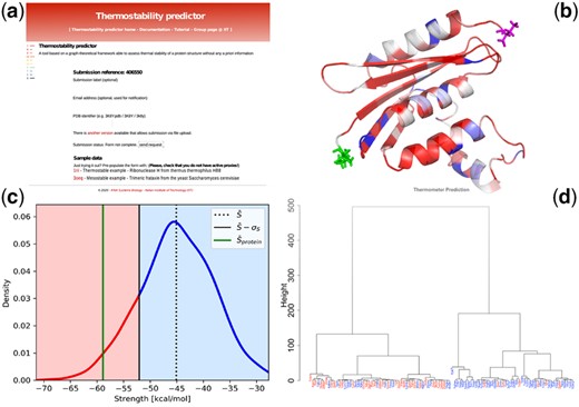 (a) Input page of the Thermometer webserver (running examples are provided therein); (b) ribbon and stick representation of the protein with residues colored according to the single residue score Tsi; (c) the mean strength value of the whole protein is compared with a distribution generated using randomized networks; (d) clustering analysis of the novel Thermostable dataset composed of 99 proteins with known melting temperature. In the graphical representation, proteins with Tm higher (respectively lower) than 70°C are colored in red (respectively, blue)