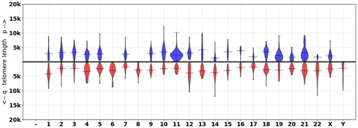 Chromosome-specific telomere length for HG002 (NA24385). The lines indicate the mean TL at each chromosome arm