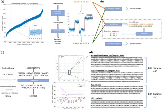 (a) Q-mer map for Nanopore R9.4 1D flow cell (for Q=6). It represents the physics of nanopore. The median current value along with the standard deviation (as error bars) are plotted for all 6-mers in the Q-mer map for R9.4 1D nanopore flow cell (the Q-mers are sorted in increasing median current levels). Note that the difference between the median current levels of any two consecutive Q-mers is very small, therefore, resulting in large overlaps. (b) An example to illustrate the error biases in nanopore base-called reads, which can be resolved through the Q-mer map ability of HQAlign to perform accurate alignment despite the errors (the edit distance used here is domain-specific and is used to demonstrate the accuracy of the alignment). (c) An example of quantization method for translating the nucleotide sequences to the current-level sequences using Q-mer map, and then quantizing the (real-valued) current-level sequences to finite quantized sequences (e.g. three levels for HQ3). (d) An example from PromethION R9.4.1 ONT data in the neighborhood of an SV in repeat region shows the two different nucleotide sequences have similar current levels and therefore, the edit distance as observed through the lens of quantized sequence is significantly lower in HQ3.
