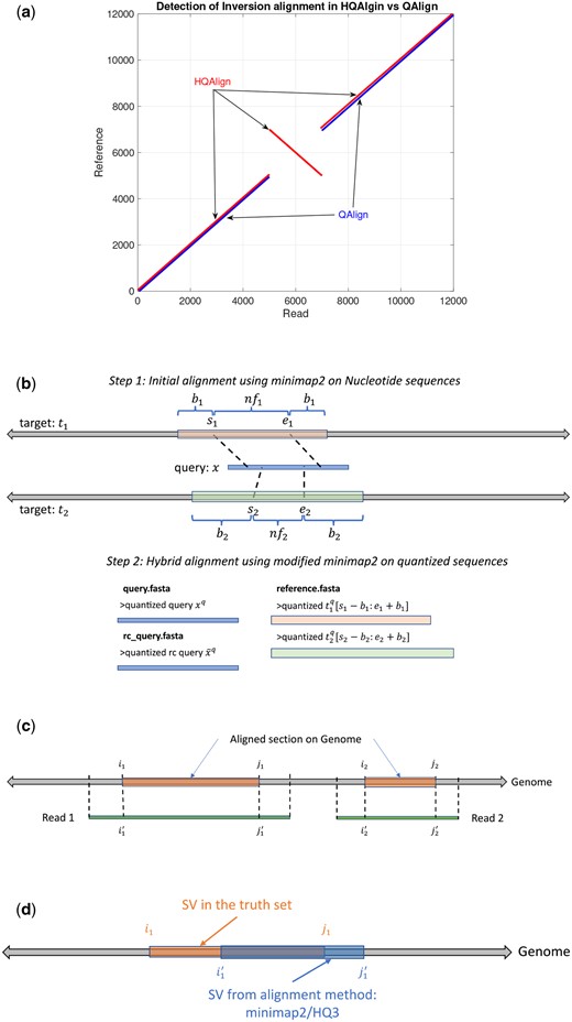 (a) An example to demonstrate the ability of HQAlign pipeline to align inverted sequences where QAlign fails. (b) An example of HQAlign pipeline. (c) An example of read-to-genome alignment. (d) Comparison of SV in truth set to SV determined by the method: minimap2/HQ3.