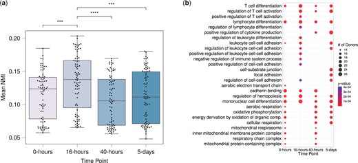(a) Normalized mutual information scores between pairs of donors based on their gene modules inferred by MuDCoD at each time point. Each data point stands for a donor, and the y-axis denotes the mean of NMI scores between that donor and other donors at the corresponding time point. All the statistically significant comparisons with time point 16-h from the one-sided Wilcoxon rank-sum test are marked (with P-value≤0.05), *** and **** stand for P-value≤0.001 and P-value≤0.0001, respectively. (b) Set of top fifteen frequent significantly enriched biological processes (with the adjusted P-values ≤0.05) of most prioritized communities contributed by each donor at different time points. Overall, 79×4=316 gene sets were contributed by 79 donors at 4 time points, and correspondingly, 316 separate enrichment analyses were performed. Displayed are significant biological processes, their corresponding number of appearances in the most prioritized communities of donors, and the minimum P-values of enrichment among those communities.