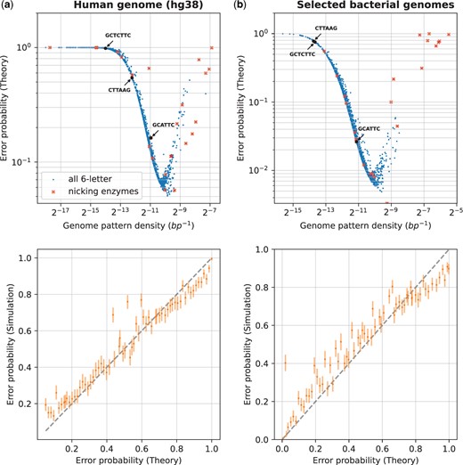 Design of optimal labeling patterns. This figure shows the evaluation of error probabilities for all length-6 labeling patterns, and some special patterns, against the following sets of genome sequences for a fixed DNA fragment length: subplot (a) is for the human genome, subplot (b) is for selected bacterial genomes (see Supplementary Table S1). We varied the labeling pattern, with all 46=4096 possible patterns evaluated and shown on the subplots. Additionally, highlighted are nicking enzyme recognition patterns from the REBASE database and some commonly used enzyme recognition patterns in OGM are shown with arrows (DLE-1, Nt.BspQI, Nb.BsmI with recognition patterns CTTAAG, GCTCTTC, and GCATTC, respectively). For each pattern, its reverse complement is also labeled at the same time. The data plotted for these special patterns for the human genome is shown in Supplementary Table S2. For each genome set, we computed the theoretical error probability using the estimated px and py|x (see Section 2.1), and validated the theory through simulations (see Section 2.2). The top row of subplots shows the error probability versus the density of the labeling pattern, while the bottom row plots compare the theory (x-axis) with simulated evaluation (y-axis) of the error probability for a random subset of patterns, with 95% confidence intervals computed as in Fig. 3.