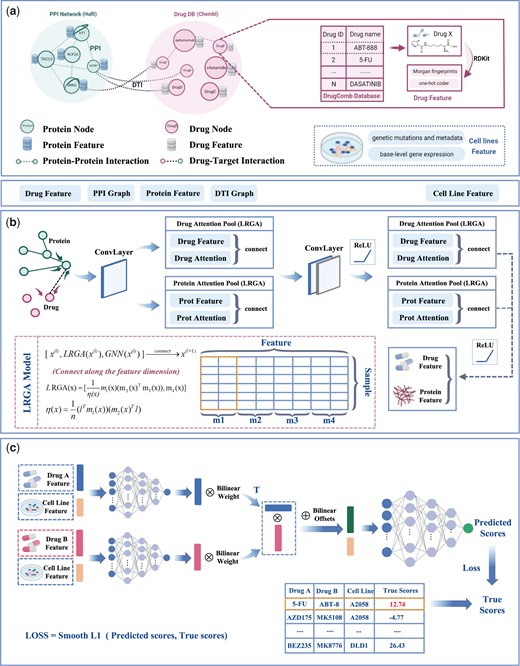 The framework of DGSSynADR. DGSSynADR consists of three major steps, including (a) constructing heterogeneous hectograph of drug–drug, drug–target, and protein–protein; (b) LRGA-based drug and protein feature extraction. LRGA is utilized to perform global weighted aggregation of nodes, and learn feature representations of drugs and proteins from the heterogeneous graph by multi-layer convolutional layers and LRGA-based attention pooling layers; (c) predicting the synergistic scores by bilinear predictors. Two parallel MLPs are trained to learn the feature representations of two drugs on specific cell lines, which are further processed by bilinear operations and jointly fed to the final layer of MLPs. Using Smooth L1 as the loss function, the whole network is trained in an end-to-end way to predict the synergy scores of drug combinations on each specific cancer cell line.