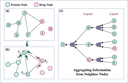 The process of message passing and information aggregation of neighbor nodes.