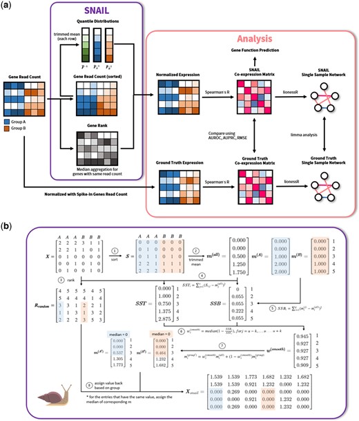 Schematic overview of (a) SNAIL and the analyses performed in this work. (b) SNAIL algorithm. SNAIL is based on smooth quantile normalization but uses the trimmed mean to derive the quantile distribution for all samples as well as for every biological group of samples. In addition, SNAIL uses the median of the quantiles to normalize the expression for genes with the same read count in one sample.