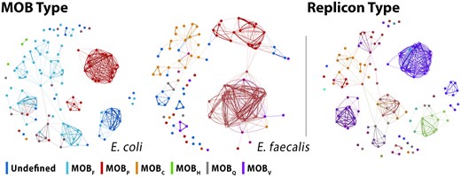 Force-directed layouts of the networks built with distances assigned by SHIP to plasmids in the E.coli and E.faecalis clusters, with nodes colored according to MOB types (left), and E.coli cluster, colored according to replicon types (right). For plasmids with multiple classes, the colors were interpolated in RGB space. Replicon type labels are omitted as there are a large number of classes.