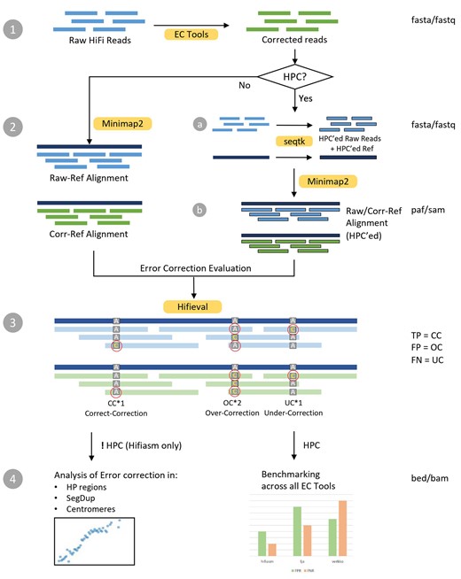 Hifieval workflow. Version 0.4.0.