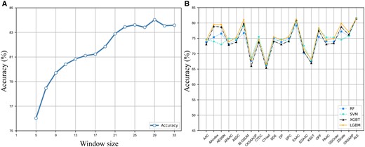 (A) The impact of the window size on the model’s performance. (B) The performance comparison of twenty handcrafted features and adaptive learning embedding features on four traditional machine learning classifiers