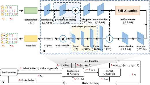 (A) The main model used in DPAMSA. (B) The overall structure of the Q Network. The network is mainly divided into three parts. The first part is positional encoding, the second is the self-attention model, and the third is a multi-layer perceptron. After the multi-layer perceptron outputs, the output vector needs to be multiplied by a theoretical maximum of Q value (96 in the figure) to obtain the Q value vector. Finally, take the index of the maximum Q value as the action. The structure of the self-attention model.