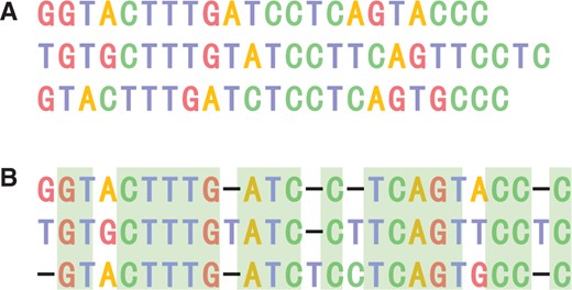 An alignment result calculated by DPAMSA. (A) The original sequence before being aligned. (B) Aan alignment result calculated by DPAMSA.