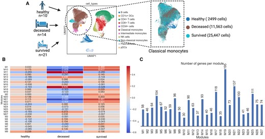 Co-expression modules in classical monocytes of patients with acute respiratory illness. (A) Selection of classical monocyte sub-population from PBMCs of patients who died or survived acute respiratory illness as well as healthy controls. (B) The 27 co-expressed gene modules in classical monocytes across deceased, survived, and healthy individuals color coded based on Spearman’s correlation. (C) The number of co-expressed genes in each module.