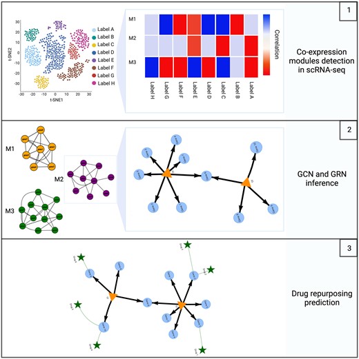 Graphical Abstract