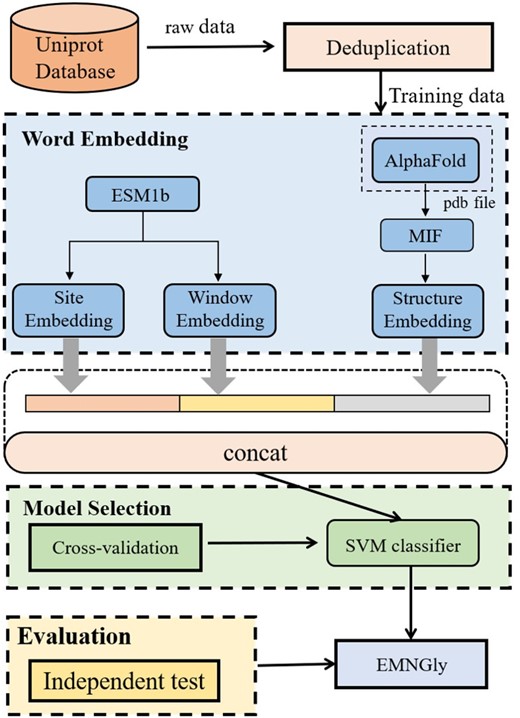 The general framework of EMNGly