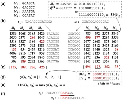 LexicHash pipeline. (a) Four masks are randomly generated for kmax=6. All mask and read bases, A, T, C, G, are mapped to bits 00,01,10,11, respectively. (b) Hash-values are computed for all constituent kmax-mers of two length-13 reads across all masks. An example calculation is given for the fourth mask and first kmax-mer of s2, where a simple XOR operation is applied to the binary representations of M4 and s20:5, resulting in the lexicographic ranking (3846st) according to the mask. (c) The sketches of s1 and s2 consist of their minimum lexicographic rankings (min-hashes) across all masks. (d) The vector of match lengths between the reads, y(s1,s2), is determined by counting the matching bits in the prefixes of each pair of min-hashes in the sketches. For example, the similarity score (i.e. match-length) corresponding to the second mask is four, since the binary representations of the min-hashes, 189 and 177, share eight bits. (e) The similarity score of 4 is the maximum of all match-lengths. (f) The similarity score represents a true 4-mer match between the two sequences. To illustrate the effectiveness of LexicHash, a sequencing error was inserted in the length-7 overlap between s1 and s2; the lexicographic-based min-hashes allow for the detection of the matching 4-mer, but the MinHash scheme for k=6 would not capture any similarity.
