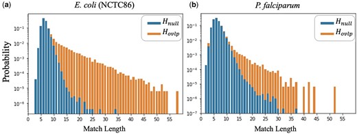 Empirical PMFs of match lengths for Hnull (non-overlapping reads) versus Hovlp (overlapping reads with alignment fraction >0.2). The PMF in (b) has a heavier tail for Hnull and lighter tail for Hovlp, indicating a more challenging dataset than that of (a). The genome of (b), P.falciparum, has a very low GC-content, which increases the match lengths for non-overlapping reads.