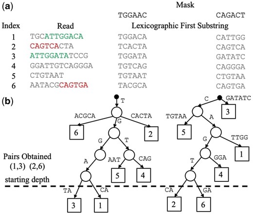 (a) Table of lexicographic first substrings (of length kmax=6) for six reads across two lexicographic orders, specified by a mask (explained in Fig. 2). Two significant read overlaps are indicated in read and green, and include sequencing errors. (b) Prefix Trees obtained from the lexicographic first kmax-mers for each mask. We use bases here for clarity, but our implementation uses binary representations. To collect pairs of reads with potential overlaps, we start at the maximum depth, four in this case, and add each pair of reads below. Note how the use of different masks enables the discovery of all significant overlaps.