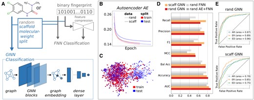 (A) DL framework with deepFPlearn+ extensions indicated in blue and existing parts in gray. (B) History of AE mean squared error for random and scaffold split of the train data. (C) Uniform Manifold Approximation and Projection (UMAP) embedding of the scaffold-split with a noticeable distribution-shift between train and test data. (D) Comparison of all collected metrics across all model architectures for the ED (endocrine disruptor) target using the best fold for each model. (E) ROC-AUC of random and scaffold split of GNN for three targets, AR (androgen receptor), ER (estrogen receptor-alpha), and ED (endocrine disruptor).