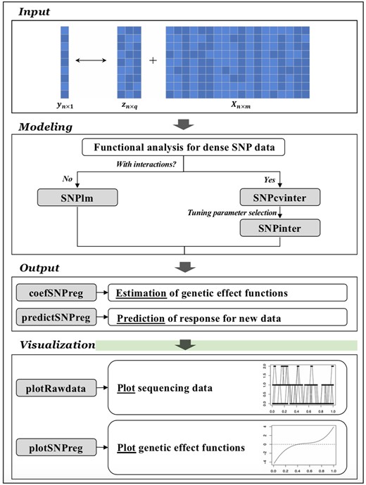 Main workflow.