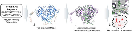 生態学的に重要なコケのタンパク質を解析する新しい方法を開発した。(Researchers develop new method to analyze proteins in ecologically significant moss) 生態学的に重要なコケのタンパク質を解析する新しい方法を開発した。(Researchers develop new method to analyze proteins in ecologically significant moss)