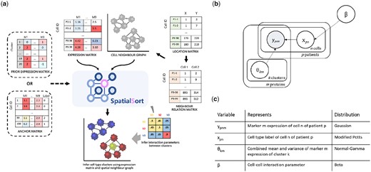(a) Schematic overview, (b) probabilistic graphical model, and (c) prior distributions of SpatialSort. SpatialSort requires expression, cell location, and neighbour relation data as inputs. For each patient, a neighbour graph modelled by a MRF is built to represent the spatial context. Using both expression and spatial data for inference, SpatialSort jointly infers cluster assignment and the interaction parameter of the HMRF to probabilistically assign each cell to a given cell type cluster. When an expectation of certain cell types or a collection of labelled data is present, a prior expression matrix or an anchor expression matrix can be incorporated to improve clustering or perform label transfer.