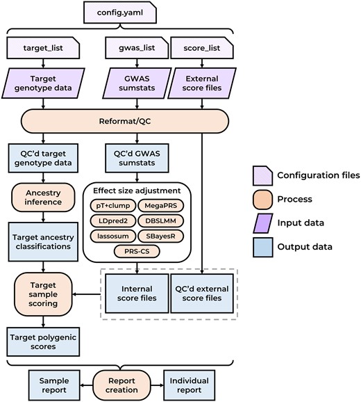 Simplified schematic diagram of the GenoPred pipeline. QC’d = quality controlled.