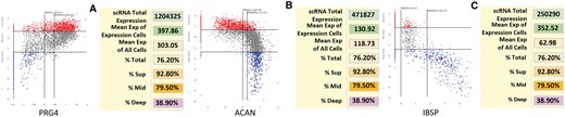 Z-Z plot of three genes whose distribution is well known by the AC community. (A) Lubricin (PRG4) is produced by superficial zone cells. (B) Aggrecan (ACAN) is a major matrix proteoglycan primarily located in the mid and deep zone. (C) Integrin binding sialoprotein (IBSP) is a major matrix protein of the deep zone. For each graph, the zonal dot percentage table shows mean level of total and per cell expression and percent cellular distribution within each histological zone.