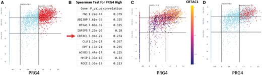 Graphical representation of cell clusters based on co-expression of marker genes. (A) Z-Z plot of PRG4. (B) Spearman test for PRG4 high cells. CRTAC1 emerges. (C) Heat map of co-expressing CRTAC1 cells overlayed onto the PRG4 pattern showing high expression (Z > 1) of both genes in the superficial zone. (D) Overlay of cells with strong expressing (Z > 1) of three genes (CRTAC1, DPT, and ABI3BP) in PRG4 positive cells that show localization to the superficial zone.
