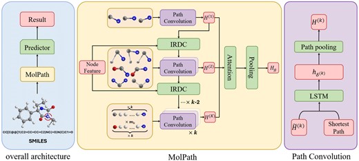 The framework of our method MolPath. Left: The overall architecture. Middle: Details in the MolPath. Right: Details in the Path Convolution block.