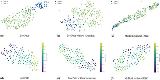 t-distributed Stochastic Neighbor Embedding (t-SNE) visualization of BBBP and ESOL. (a)–(c) demonstrate the excellent effect of MolPath on classification tasks and confirm the effectiveness of the component on classification tasks. (d)–(f) demonstrate the excellent effect of MolPath on regression tasks and confirm the effectiveness of the component on regression tasks.