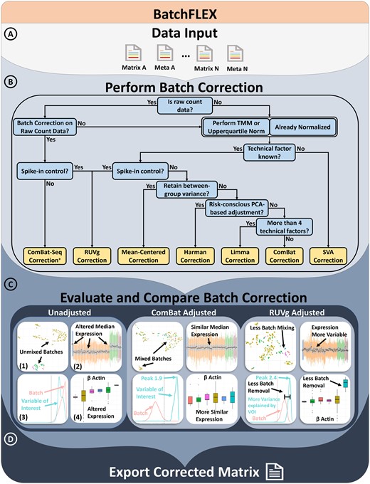 Overview of the BatchFLEX analysis tool workflow. (A) Upload a merged matrix and meta file containing multiple studies. Use MergeQC app if needed. (B) Perform batch correction using one of the app's methods. A decision tree is provided to assists in guiding method selection. (C) Evaluate the batch correction efficacy using side-by-side comparison plots with examples from ComBAT and RUVg. (1) UMAP plot: Check if clustering is driven by the batch effect; ideally, data should be intermixed and driven by the variable of interest. (2) Relative log expression plot: Assess batch effect impact on median expression; broad expression should be similar across datasets. (3) Explanatory variables plot: Estimates the variance explained by the annotated feature; the variable of interest should explain more variance than the batch effect. (4) Boxplot: Can evaluate expression of gene and features, such as housekeeping genes. (D) Export the corrected matrix for downstream analysis. + indicating the feature will only be present in the app when count-based matrix is provided as input