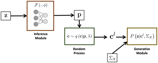 Overview of BEATRICE. The inputs to our framework are the LD matrix ΣX and the summary statistics z. The inference module uses a neural network to estimate the underlying probability map p. The random process generates random samples cl for the Monte Carlo integration in Equation (12). Finally, the generative module calculates the likelihood of the summary statistics from the sample causal vectors cl.