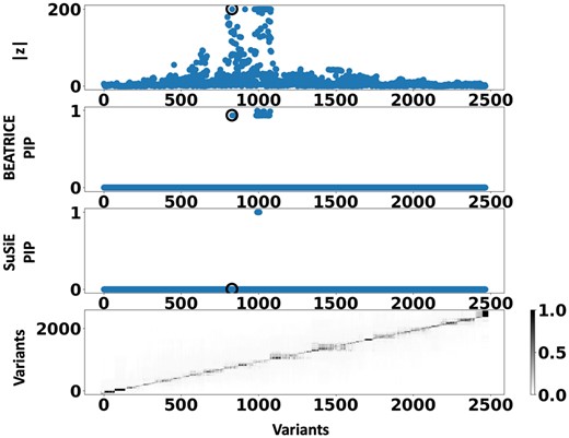 Detailed results for Clump 1: Top row: absolute z-scores of the included variants; the index SNP is indicated by a black circle. Second row: PIPs identified by BEATRICE. Third row: PIPs identified by SuSiE. Bottom row: LD structure between the variants, where the color bar indicates the r2 values.