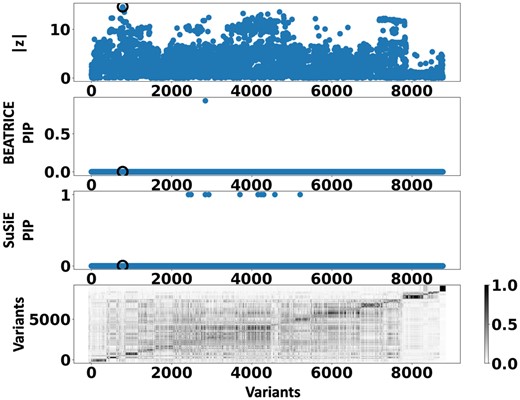 Detailed results for Clump 9: Top row: absolute z-scores of the included variants; the index SNP is indicated by a black circle. Second row: PIPs identified by BEATRICE. Third Row: PIPs identified by SuSiE. Bottom row: LD structure between the variants, where the color bar indicates the r2 values.